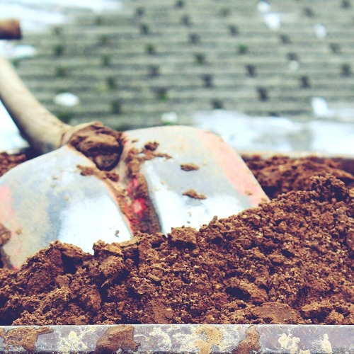 1. ARBEITSEINSATZ 2026 (1 von 8)