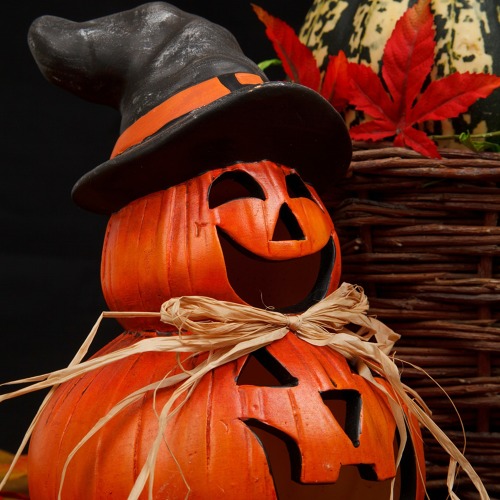 VORVERKAUF zum HALLOWEEN K&uuml;rbis-Schnitzen im Vereinsheim am 31.10.2026!